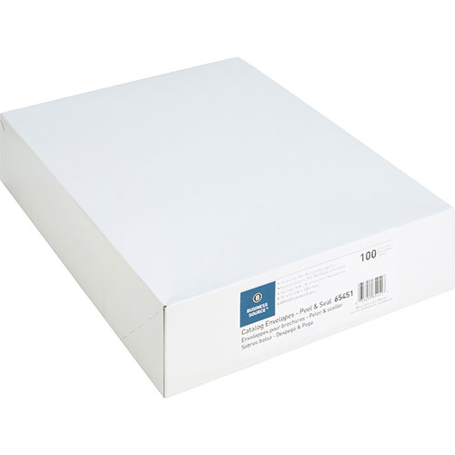 Business Source Catalog Envelopes, Removable Strip, 10" x 13", White