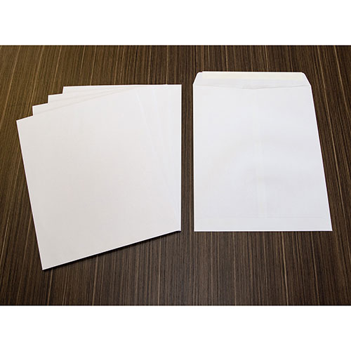 Business Source Catalog Envelopes, Removable Strip, 10" x 13", White