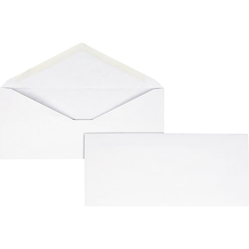 Business Source V-Flap Envelopes, No. 10, 250/BX, White