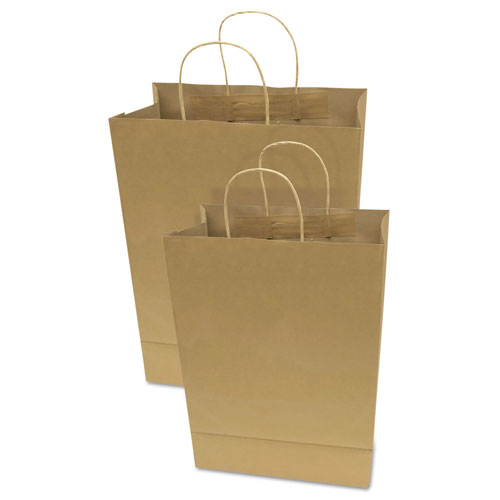 Consolidated Stamp Premium Shopping Bag, 12