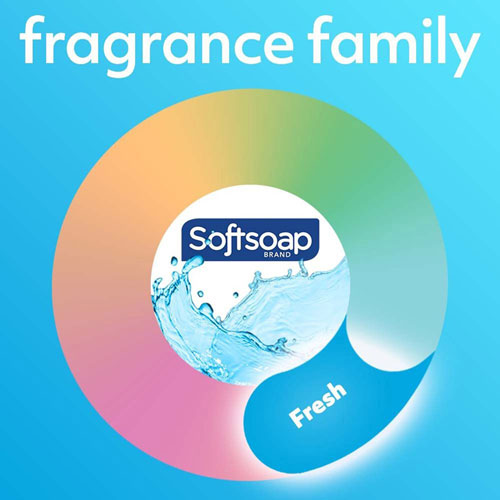 Softsoap Lavender Hand Soap - Lavender & Shea Butter Scent - 11.3 fl oz (332.7 mL) - Pump Bottle Dispenser