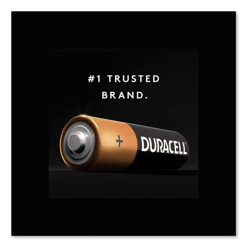 Duracell CopperTop Alkaline AA Batteries, 2/Pack