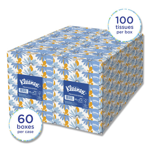Kimberly-Clark Kleenex White Facial Tissue | 2-Ply, White, 100 Sheets ...