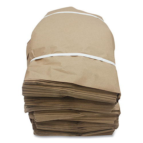 Kari Out Kraft Paper Bags, 10