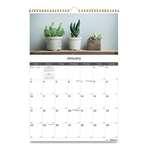 Blueline 12-Month Wall Calendar, Succulent Plants Photography, 12 x 17, White/Multicolor Sheets, 12-Month (Jan to Dec): 2024