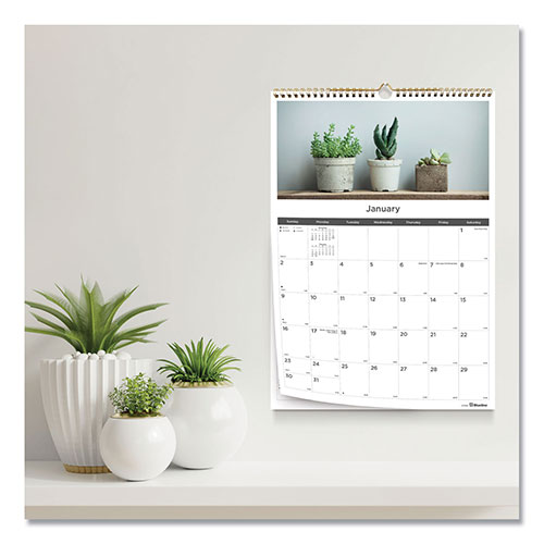 Blueline 12-Month Wall Calendar, Succulent Plants Photography, 12 x 17, White/Multicolor Sheets, 12-Month (Jan to Dec): 2024