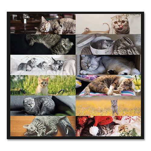 Brownline Pets Collection Monthly Desk Pad, Furry Kittens Photography, 22 x 17, White Sheets, Black Binding, 12-Month (Jan-Dec): 2024
