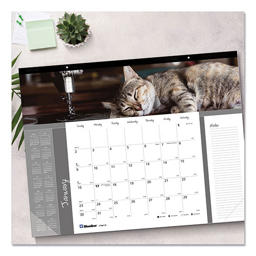 Brownline Pets Collection Monthly Desk Pad, Furry Kittens Photography, 22 x 17, White Sheets, Black Binding, 12-Month (Jan-Dec): 2024