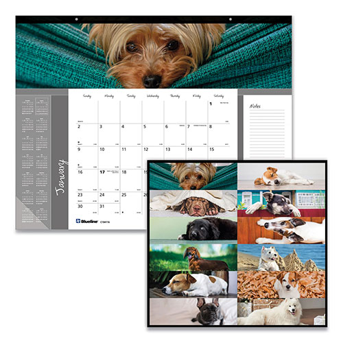 Brownline Pets Collection Monthly Desk Pad, Puppies Photography, 22 x 17, Black Binding, Clear Corners, 12-Month (Jan to Dec): 2024