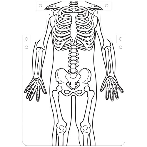 Roylco Apron, Skeleton Art, 12-1/2"Wx1/100"Lx25-9/10"H, 12/PK