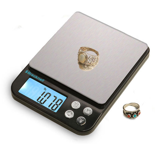 Salter Brecknell EPB500 EPB Series Balance Scale - 500 g Maximum Weight Capacity - Black, Silver