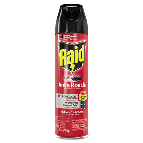 Raid Ant and Roach Killer, 17.5oz Aerosol, Outdoor Fresh, 12/Carton