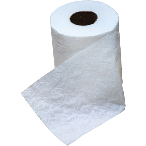 Special Buy 2-ply Bath Tissue - 2 Ply - 4.25" x 3" - 500 Sheets/Roll - White - Absorbent, Individually Wrapped - For Bathroom - 96 / Carton