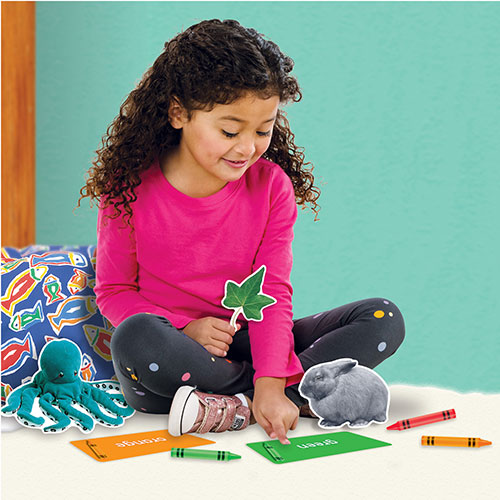 Trend Enterprises Colors All Around Us Learning Set