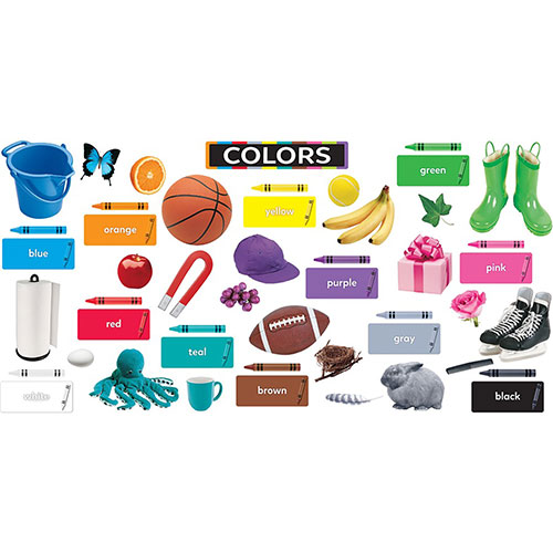 Trend Enterprises Colors All Around Us Learning Set