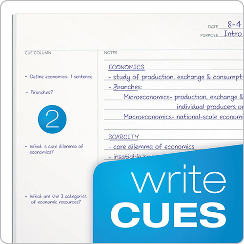 TOPS FocusNotes Legal Pad, Meeting-Minutes/Notes Format, 50 White 8.5 x 11.75 Sheets
