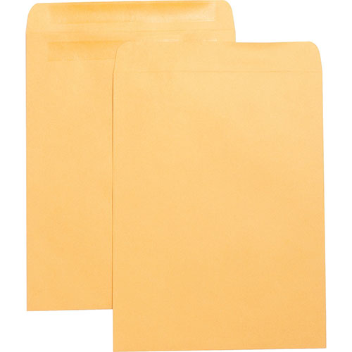 Business Source Catalog Envelopes, w/Adhesive Strip, Plain, 10" x 13", Kraft