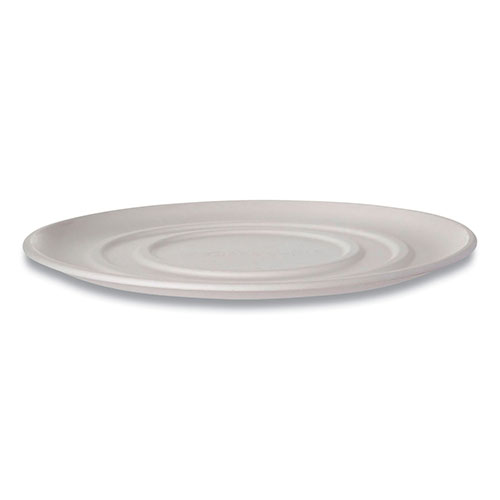 Eco-Products WorldView Sugarcane Pizza Trays, 14 x 14 x 0.2, White, 50/Carton