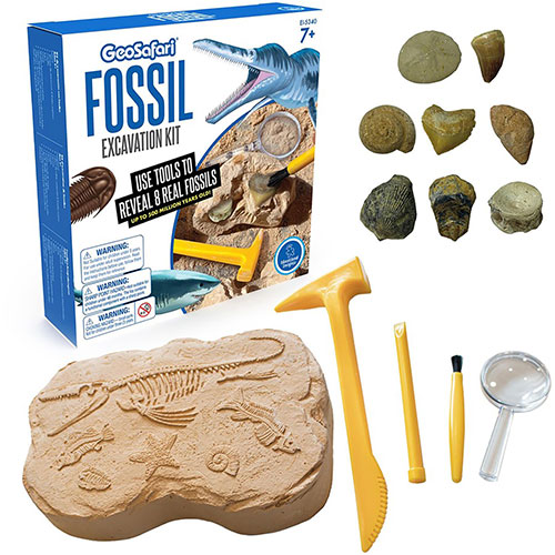 Educational Insights Fossil Excavation Kit - Theme/Subject: Fun - Skill Learning: Paleontology, STEM, Fossil - 7-12 Year