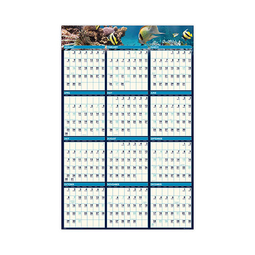House Of Doolittle Earthscapes Recycled Reversible/Erasable Yearly Wall Calendar, Sea Life Photos, 24 x 37, White Sheets, 12-Month(Jan-Dec):2024