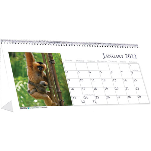 House Of Doolittle Recycled Wildlife Photos Desk Tent Monthly Calendar, 8 1/2 x 4 1/2, 2022