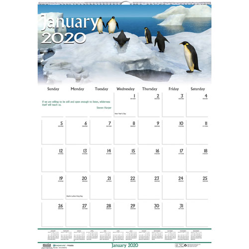 House Of Doolittle Recycled Wildlife Scenes Monthly Wall Calendar, 12 x 16 1/2, 2020