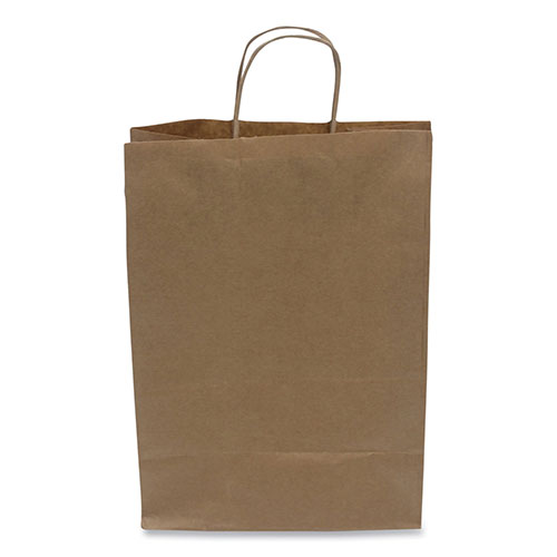 Kari Out Kraft Paper Bags, 10" x 6" x 13", Kraft, 250/Carton