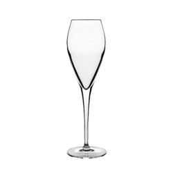 Bauscher Hepp Luigi Bormioli Atelier 6.75 oz Sparkling Wine Glasses