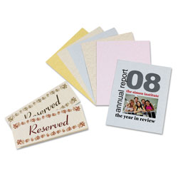 Pacon Array Card Stock, 65 lb., Letter, Assorted Parchment Colors, 100 Sheets/Pack (PAC101235)