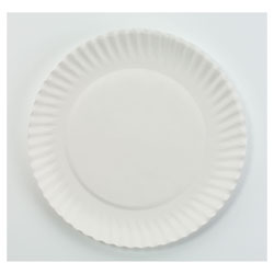APPROVED VENDOR Disposable Paper Plate: White, Medium-Wt, 9 in Disposable  Plate Size, 1,000 PK