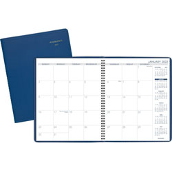At-A-Glance Monthly Appointment Book, 9 inx11 in, Blue