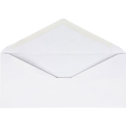 Business Source V-Flap Envelopes, No. 10, 250/BX, White
