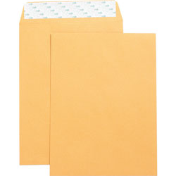 Business Source Catalog Envelopes, Self Seal, Plain, 9 in x 12 in, 250/Box, Kraft