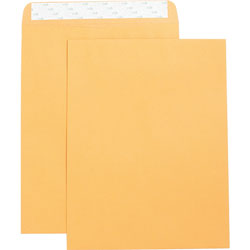 Business Source Catalog Envelopes, Self Seal, Plain, 10 in x 13 in, 250/Box, Kraft