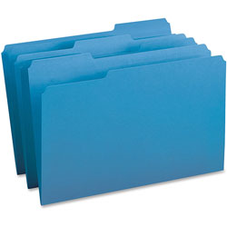 Business Source Color Coding File Folders, 1/3Cut, 9-1/2 in x 14 in, Legal, 100/BX, BE