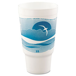 Dart Horizon Hot/Cold Foam Drinking Cups, 32oz, Teal/White, 16/Bag, 25 Bags/Carton (32AJ20HDAR)