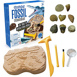 Educational Insights Fossil Excavation Kit - Theme/Subject: Fun - Skill Learning: Paleontology, STEM, Fossil - 7-12 Year