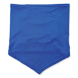 Ergodyne Chill-Its 6483 Cooling Neck Gaiter Bandana Pocket, Polyester/Spandex, Small/Medium, Blue