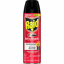 Raid Ant & Roach Killer Spray, 12/Case