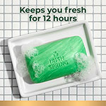 Irish Spring® Original Bar Soap, Fresh Clean Scent, 3.75 oz, 3 / Pack view 5
