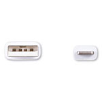 Innovera USB Lightning Cable, 3 ft, White view 2