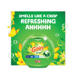 Gain Flings Detergent Pods, Orginal, 81 Pods/Tub view 5