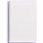 Blueline Steno Notes Notebook, Gregg Rule, Blue/White Cover, (180) 9 x 6 Sheets view 1