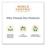 World Centric Fiber Hinged Containers, 3 Compartments, 9 x 9 x 3, Natural, 300/Carton view 1