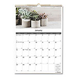 Blueline 12-Month Wall Calendar, Succulent Plants Photography, 12 x 17, White/Multicolor Sheets, 12-Month (Jan to Dec): 2024 orginal image