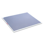 Crown Walk-N-Clean Dirt Grabber Mat with Starter Pad, 31.5 x 25.5, Gray orginal image