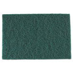 Royal   Medium-Duty Scouring Pad, 6 x 9, Green, 60/Carton orginal image