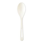 World Centric TPLA Compostable Cutlery, Spoon, 6