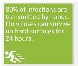 80% of infections are transmitted by hands.